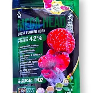 MEGA HEAD boost flower horn